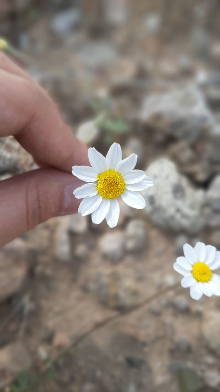 ?