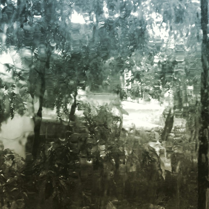 looking outside 
