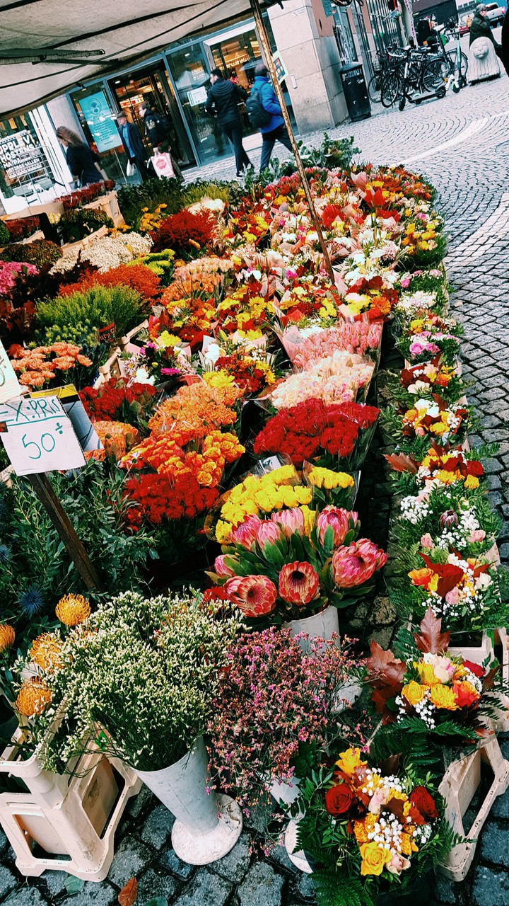 Flowers