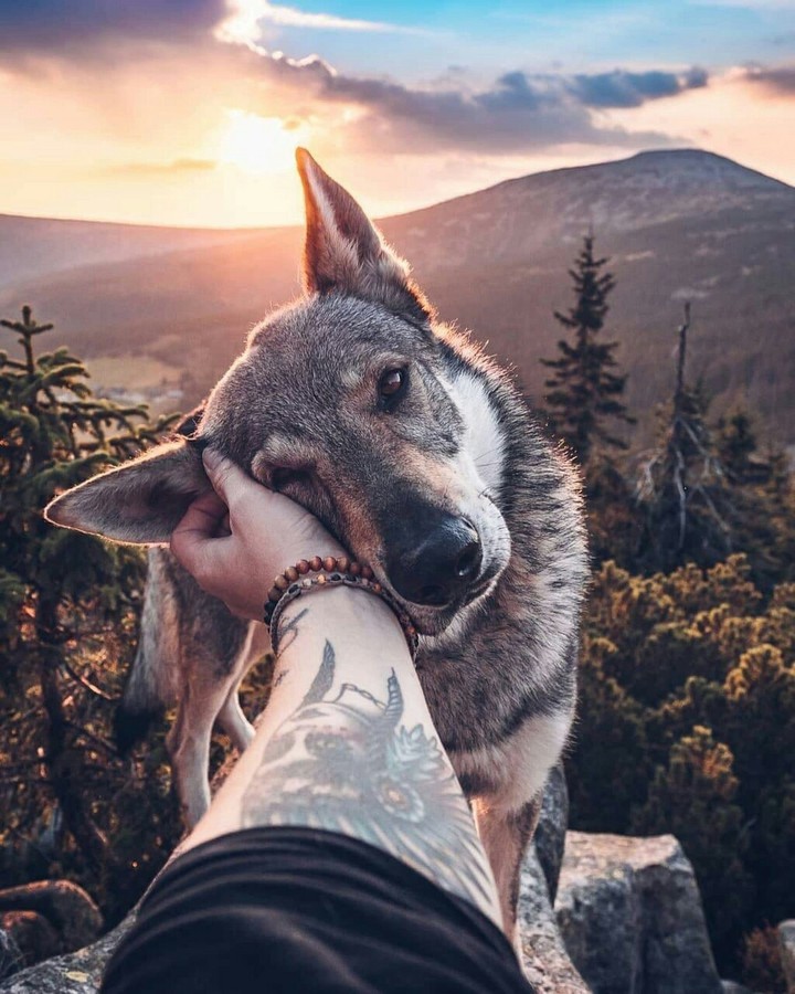 very beautiful