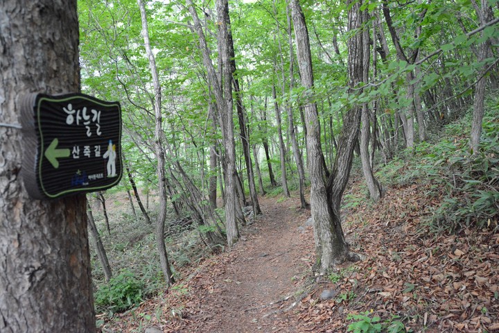풍경이미지