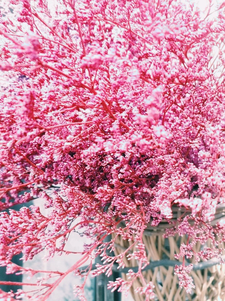 pink pink