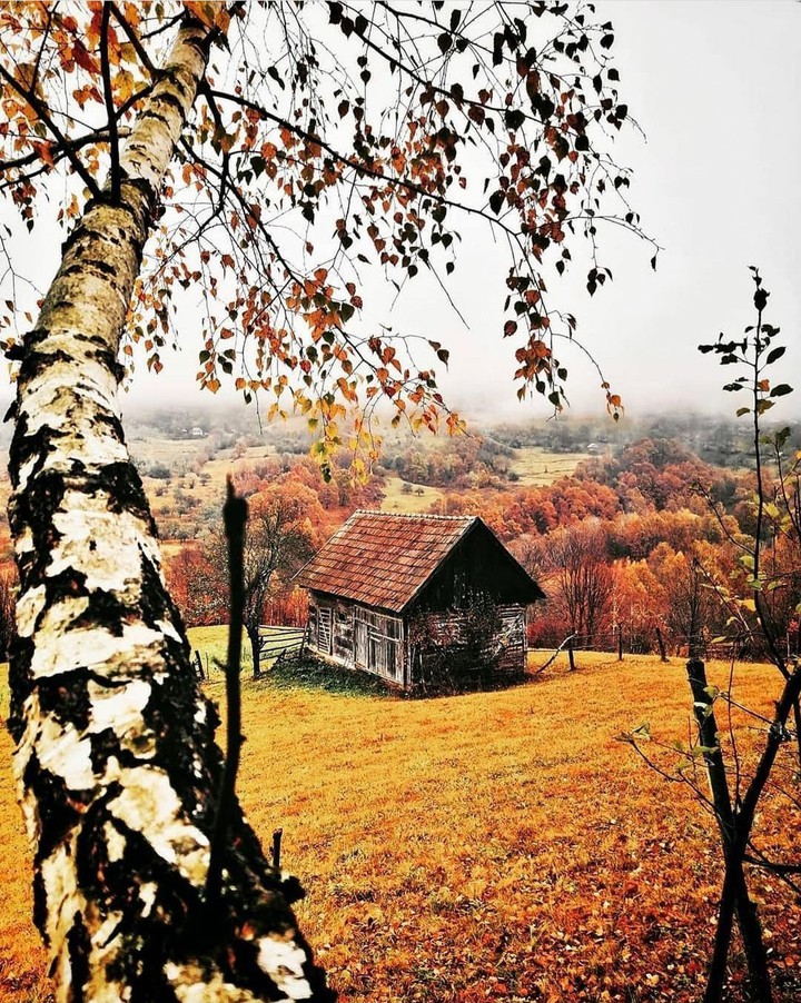 nature