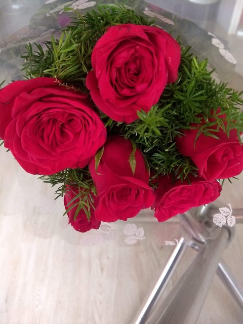 Roses are red