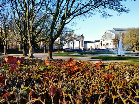 Parc du Cinquantenaire