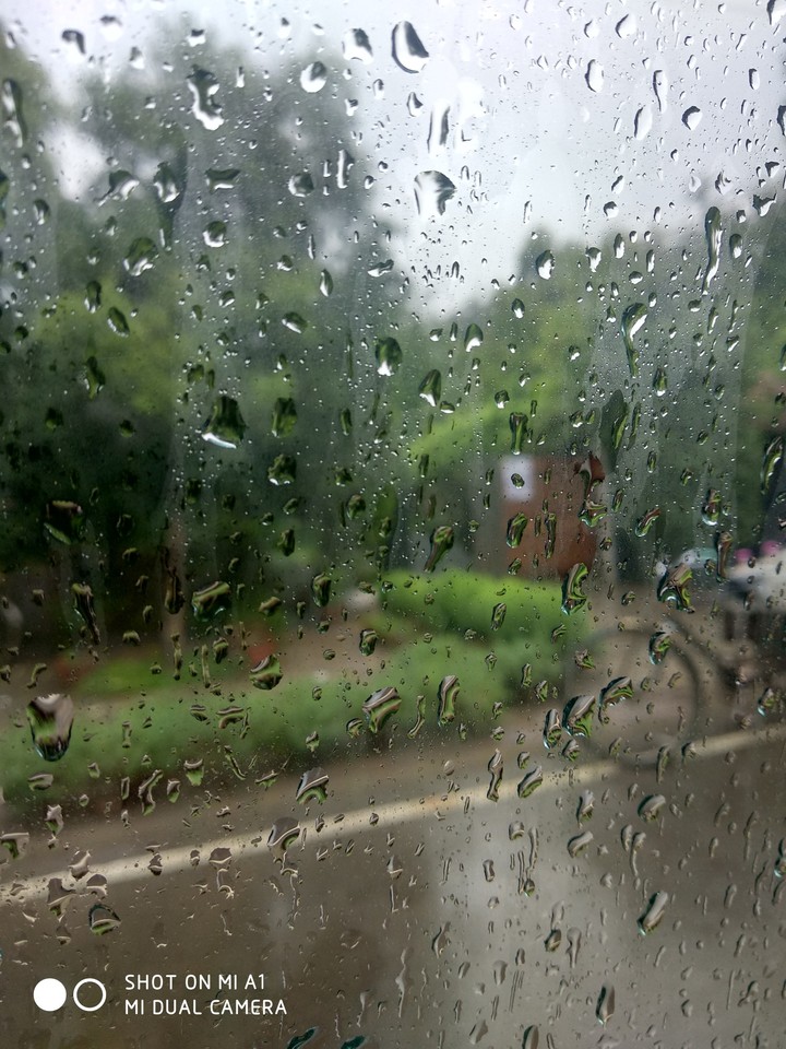 rainy