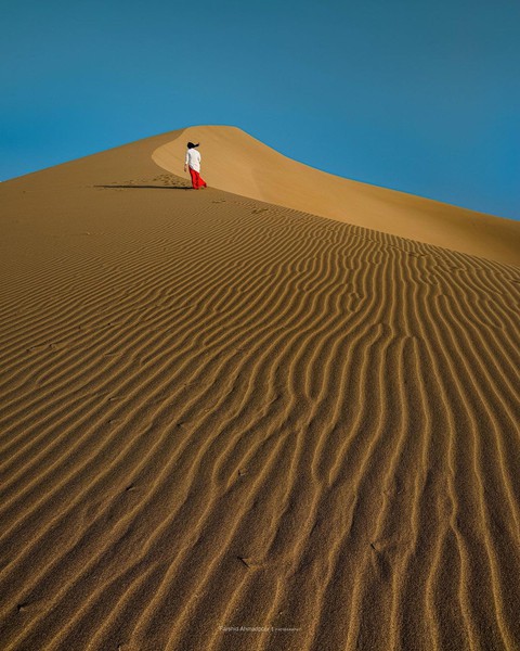 Varzaneh Desert