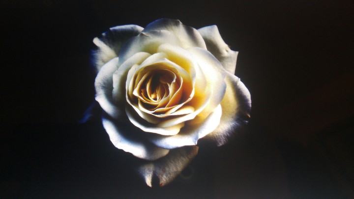 black end white