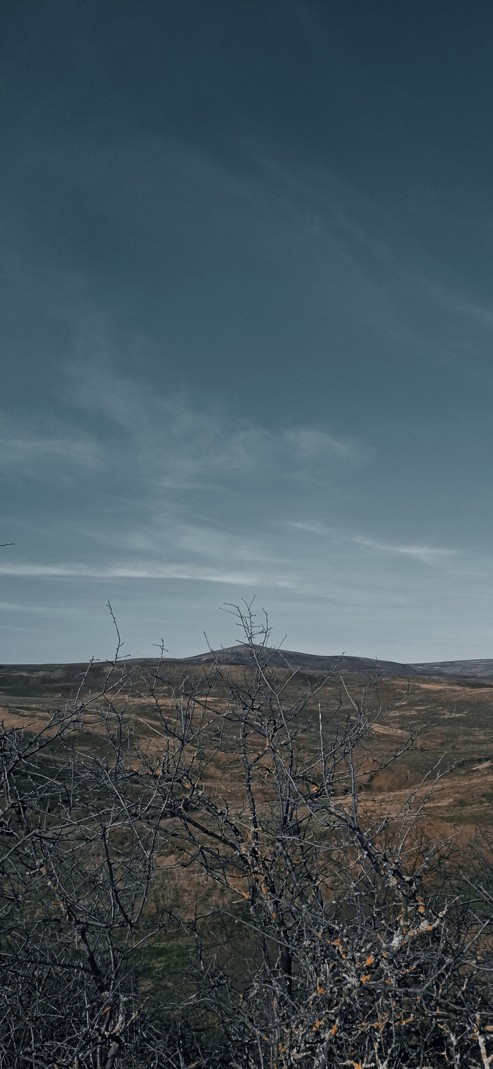 Mountains