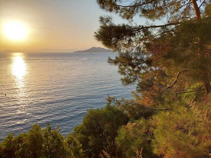 .