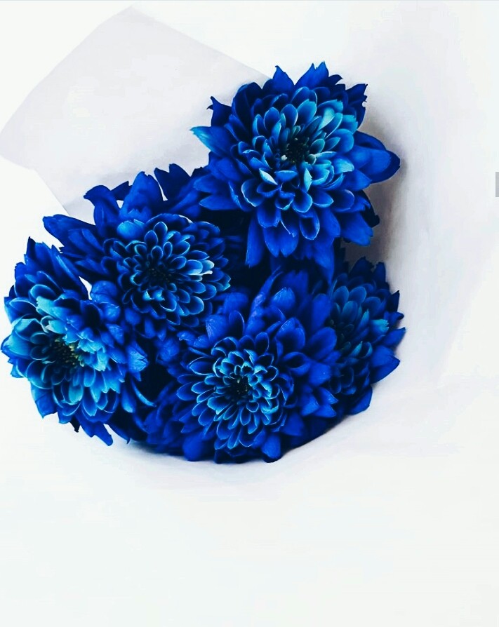 feeling blue 