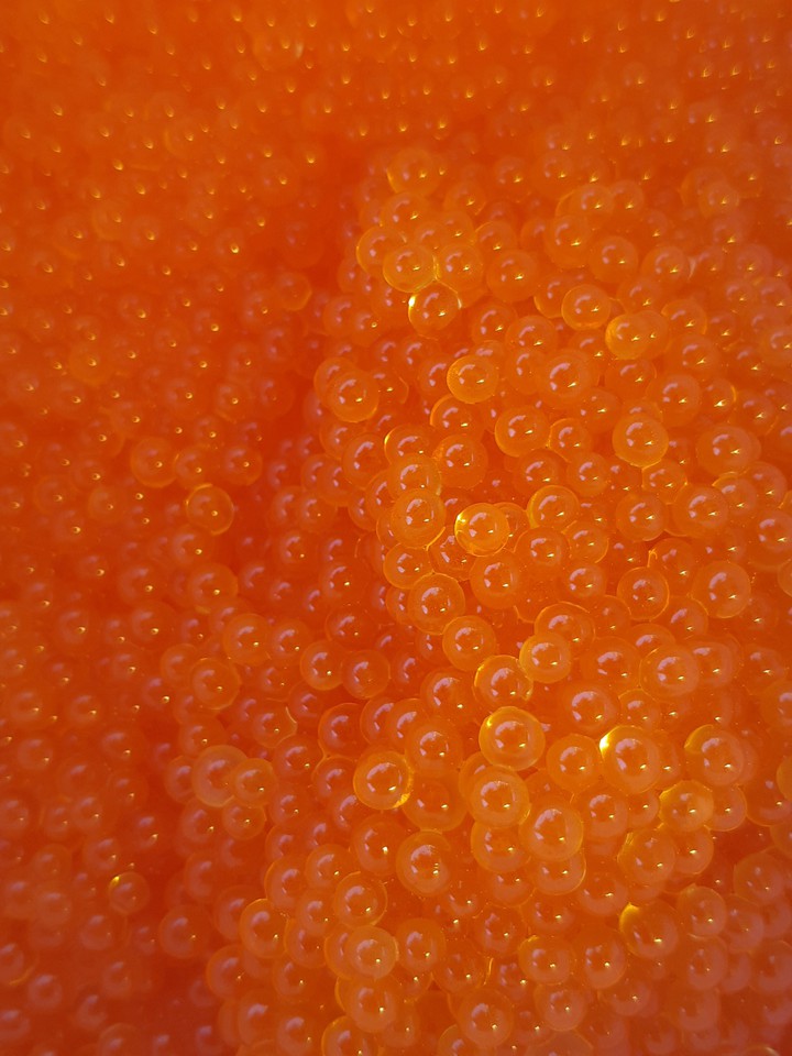 икра