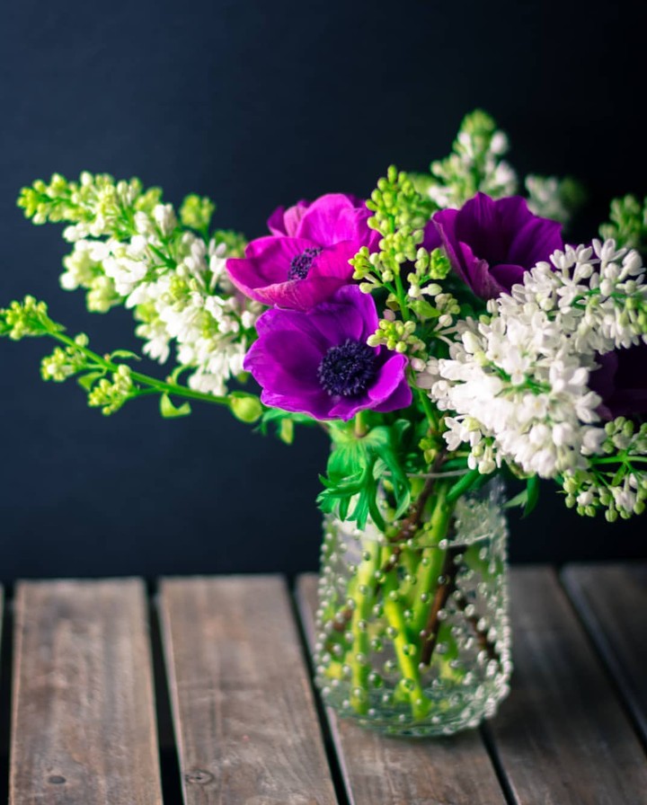 anemone & lilac
