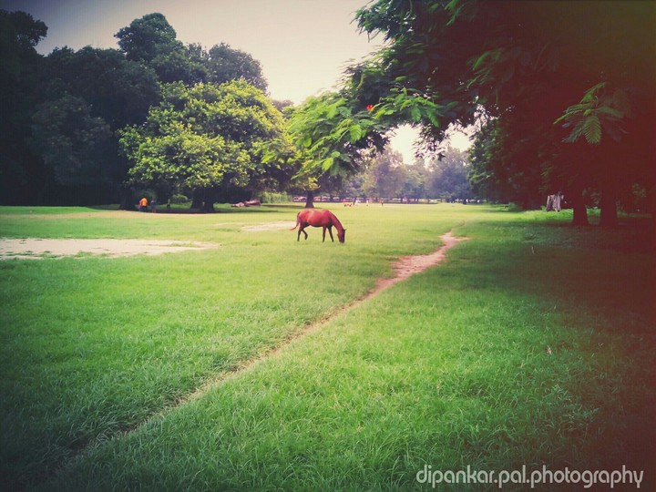 vintage ground...