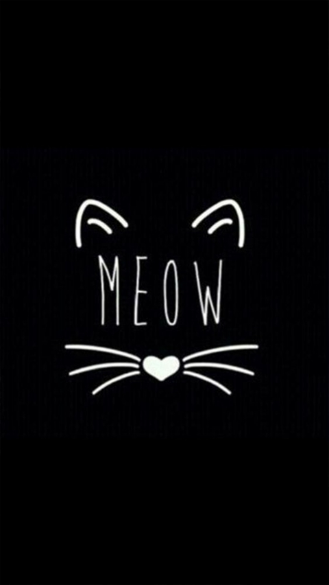 котик