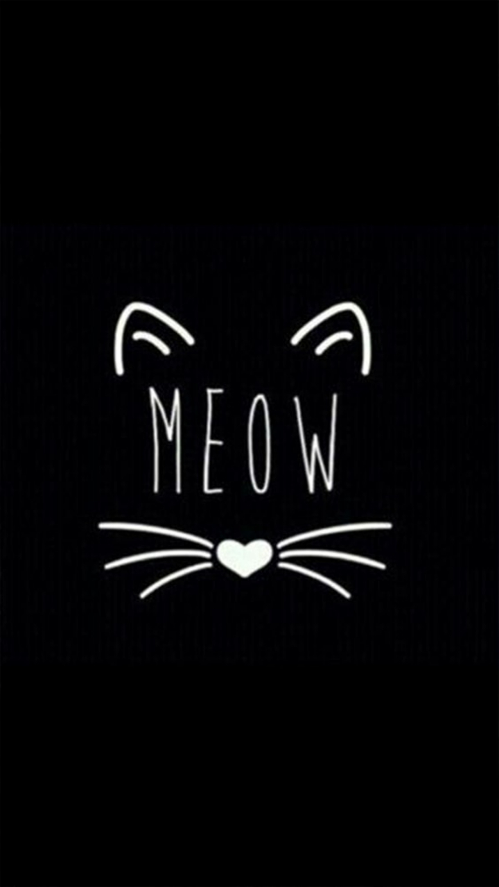 котик