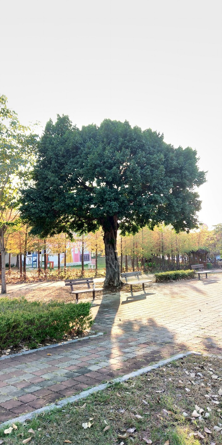 Park in Taichung City