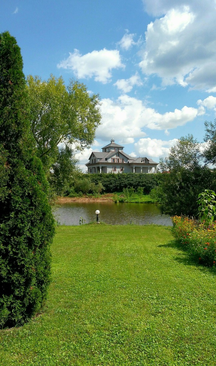 bright landscape