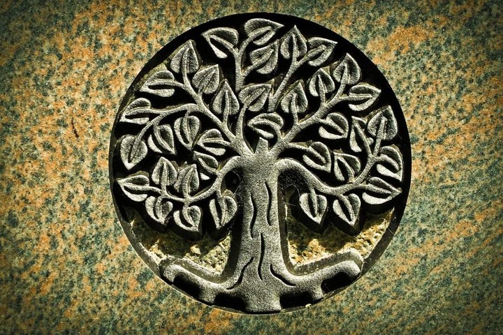 Life tree