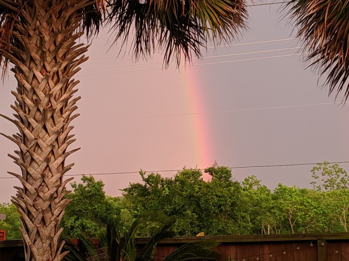 backyard rainbow