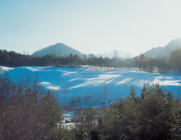 사계절풍경
