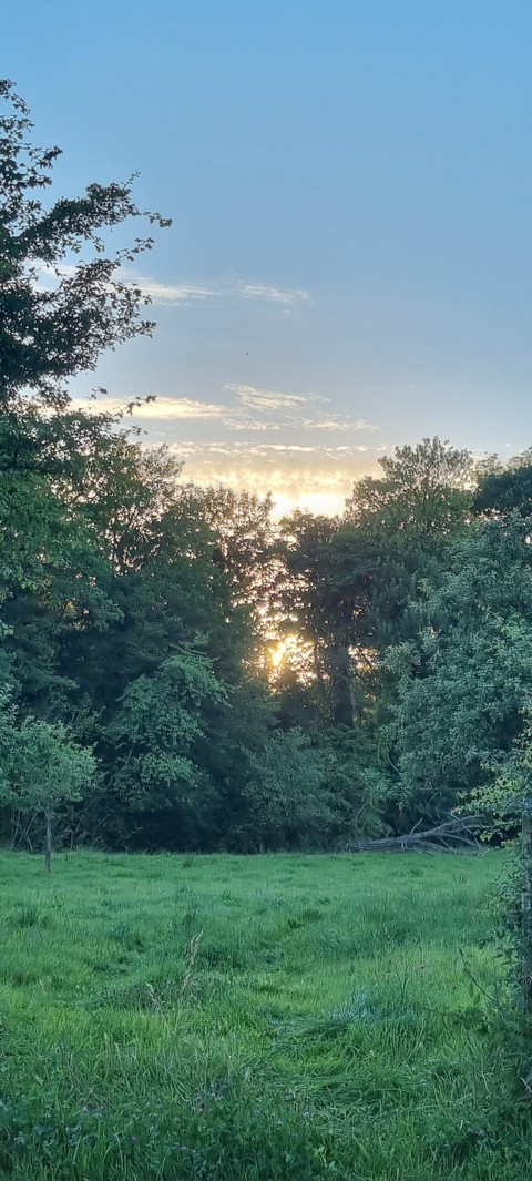 шпалери ecoregion, sunlight