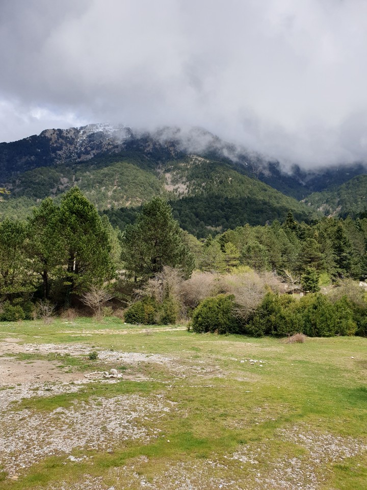 Llogara national parc Albania