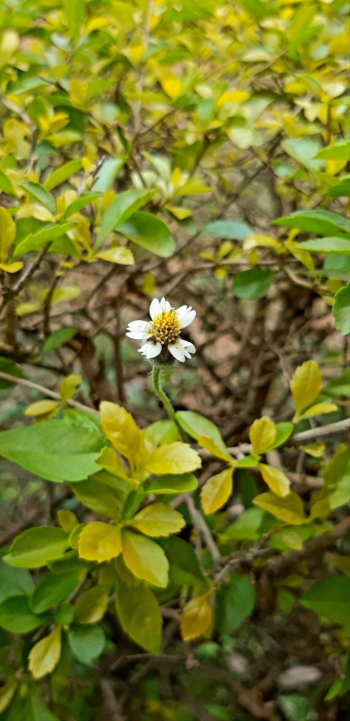 Nature