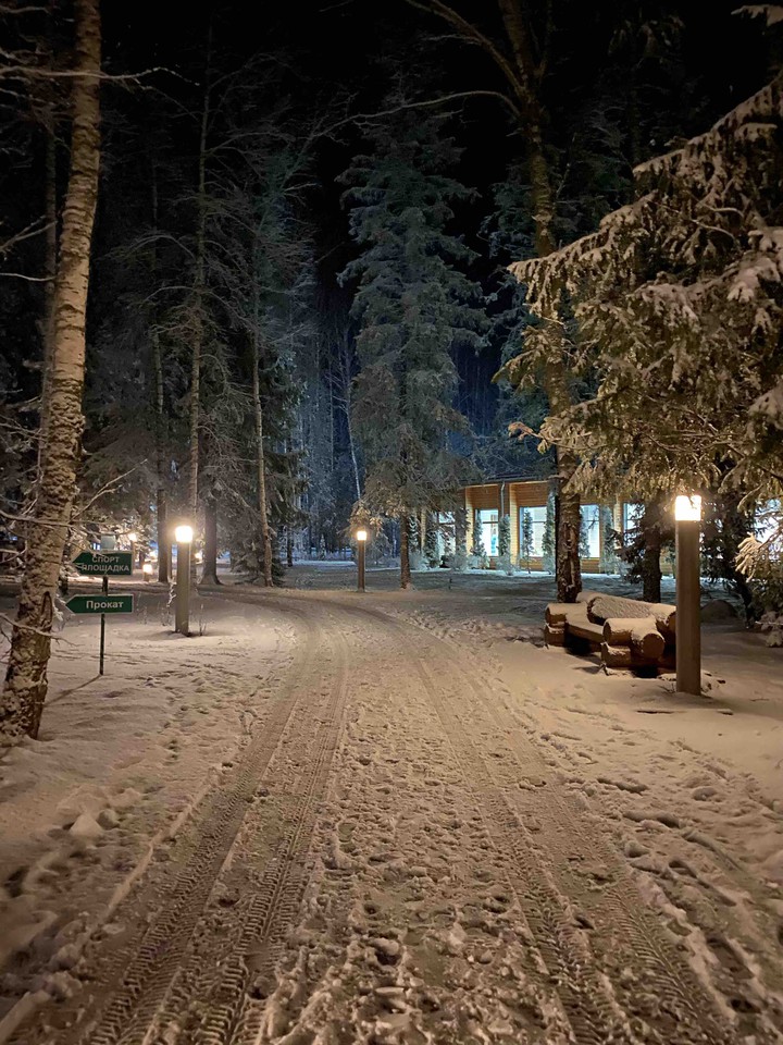 лес