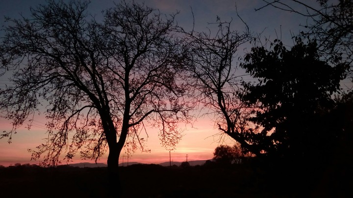 No filter, just pure nature