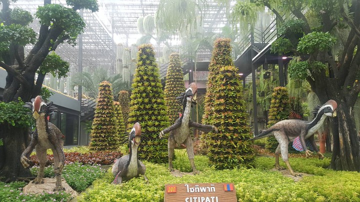Dinosaur