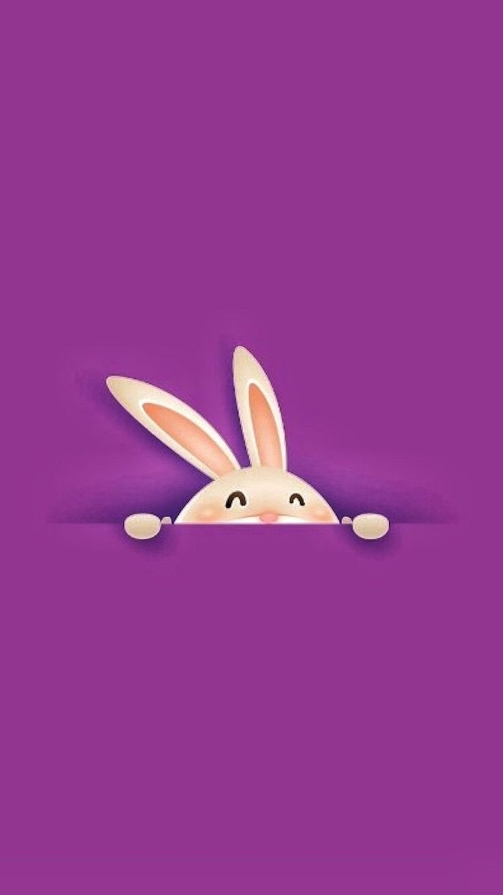 bunny