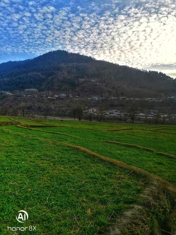 Pakistan