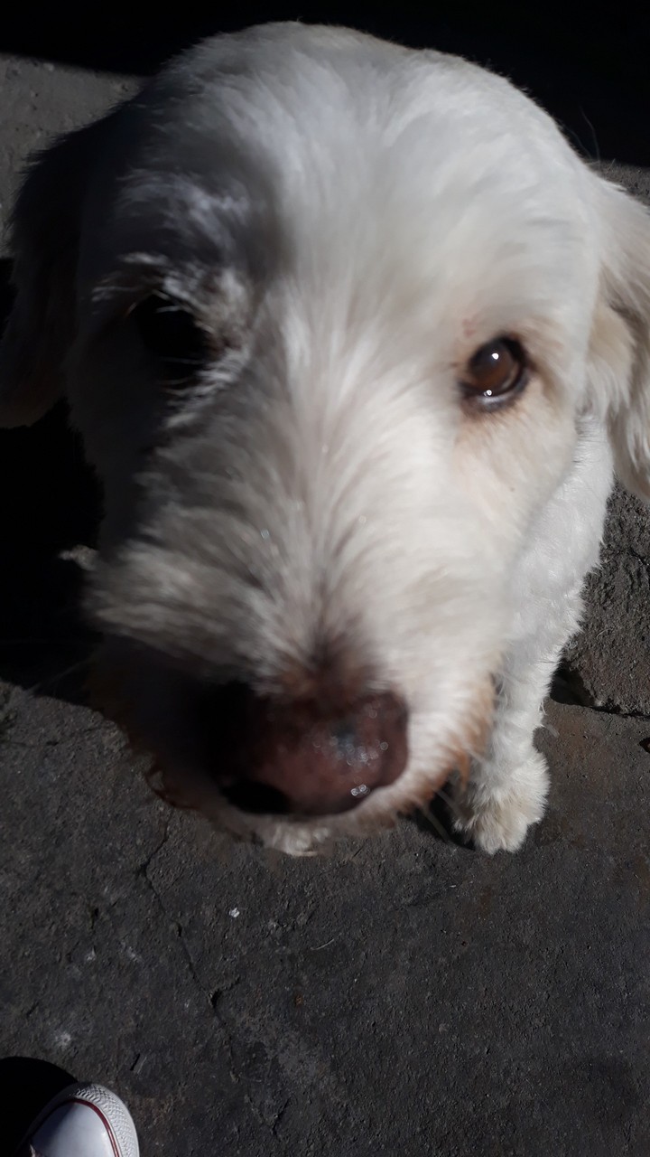 Meu BB