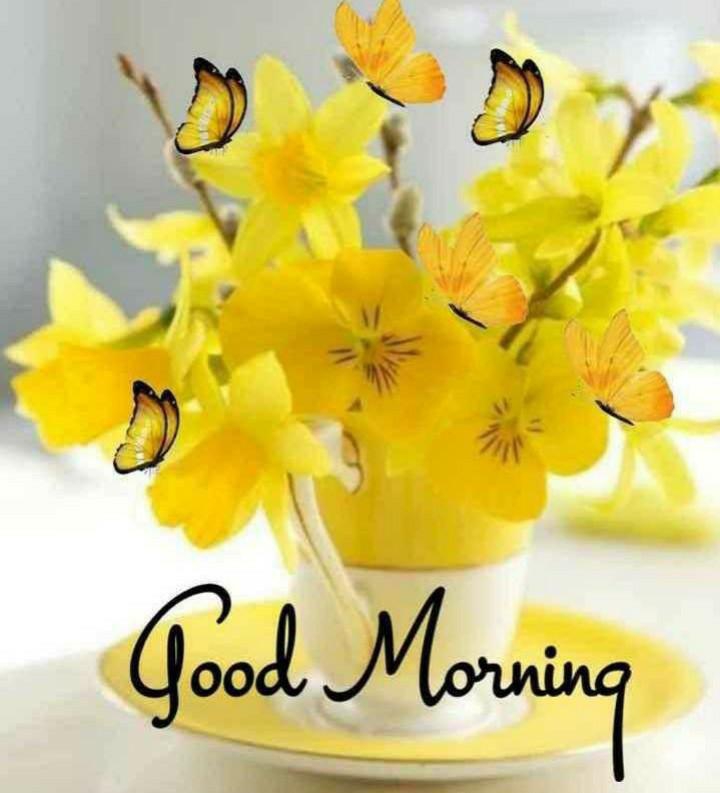 gm