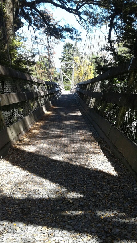 Red Hutt Swing Bridge ^¤_¤^