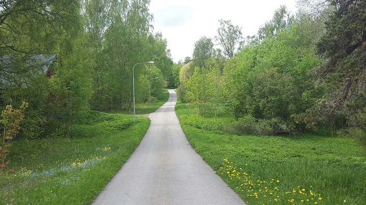 Spring
