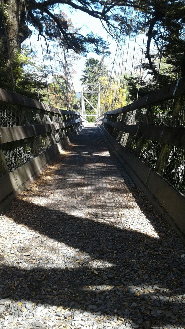 Red Hutt Swing Bridge ^¤_¤^