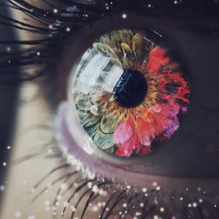 Eye