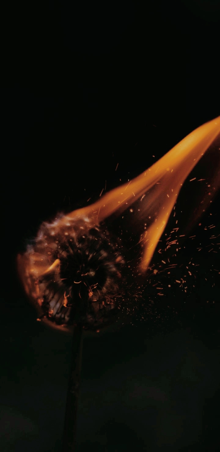 Burn - Fire