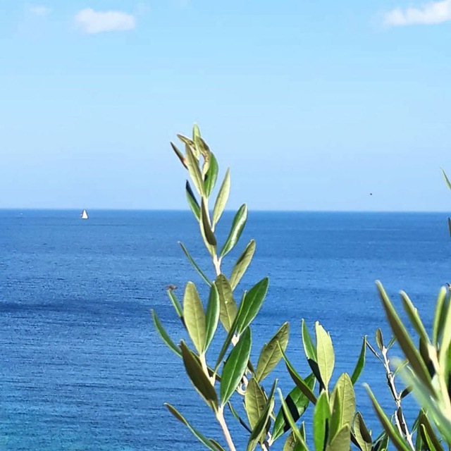 Sardinia