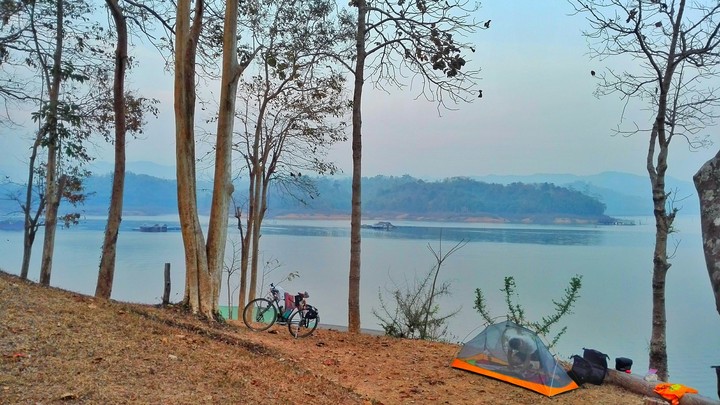 camping in forest