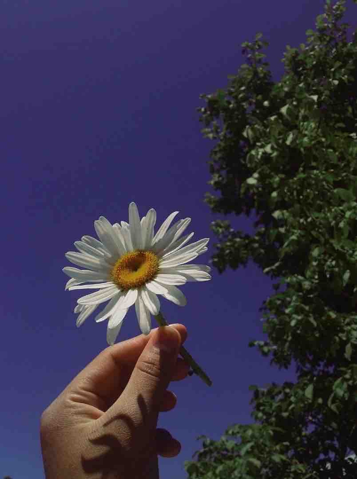 ❤