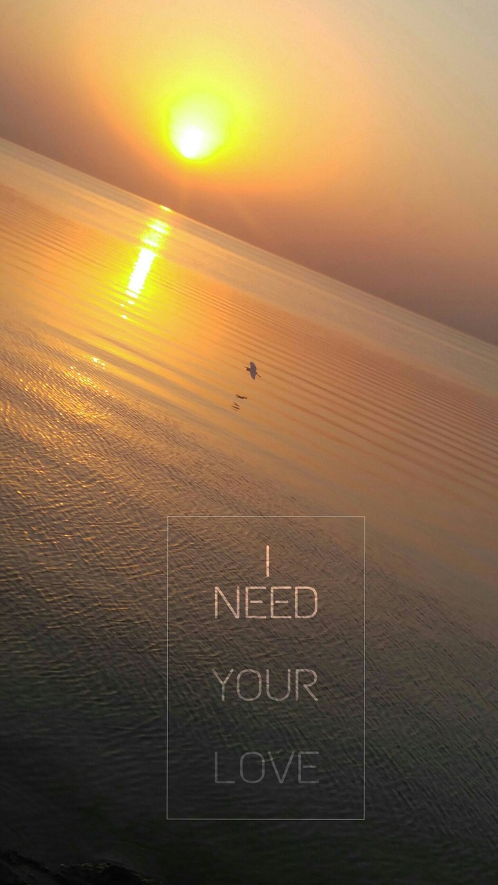 I need your love