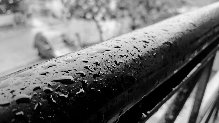 Rain Drops
