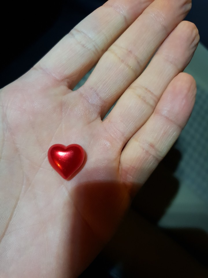 Heart