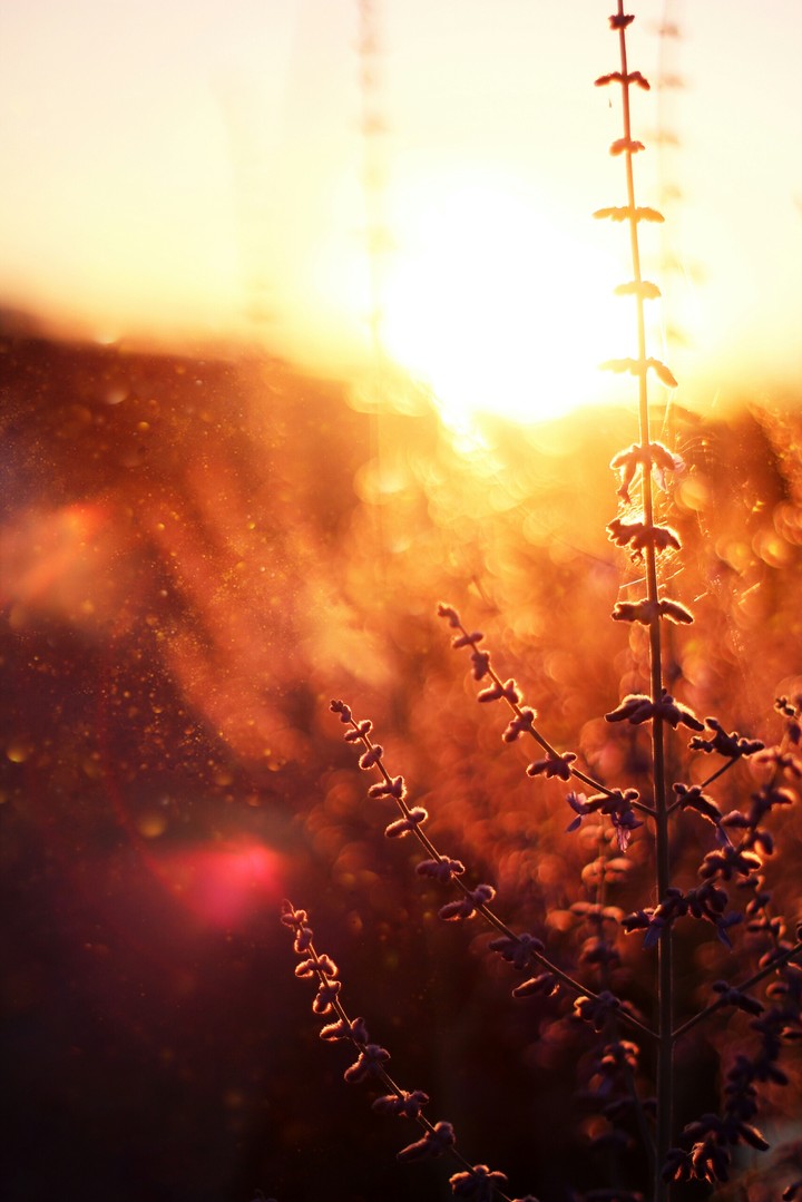 Guiding Light