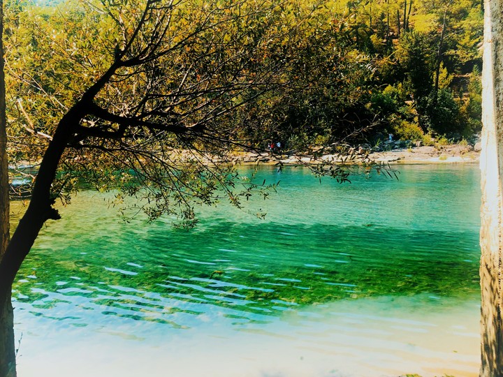 nature and river