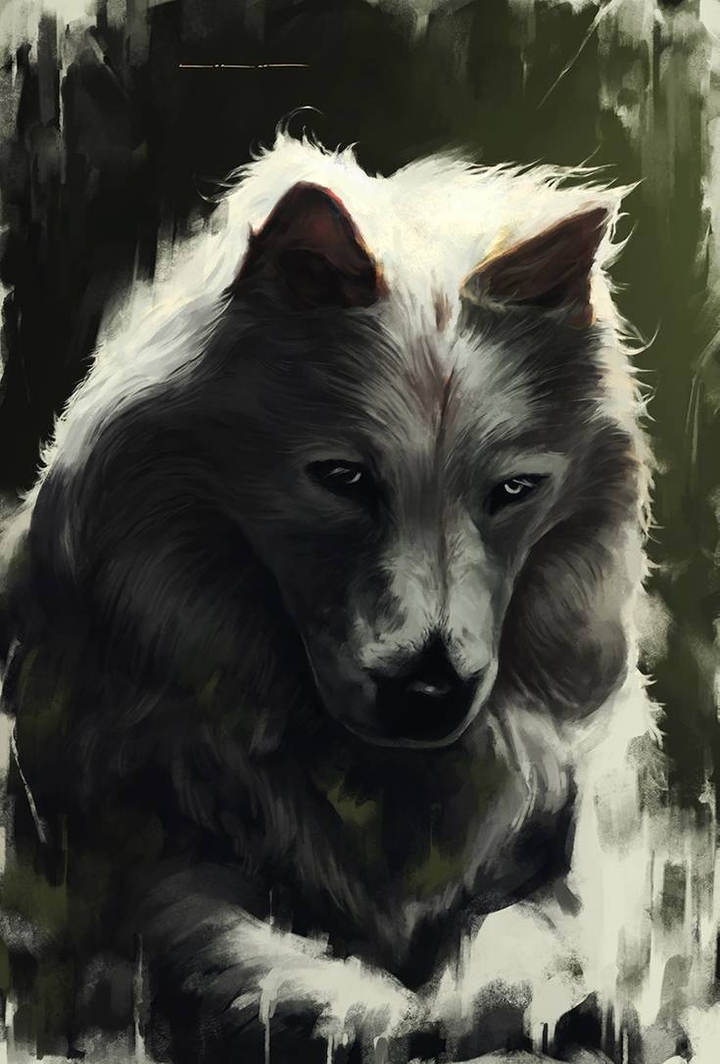 wolf