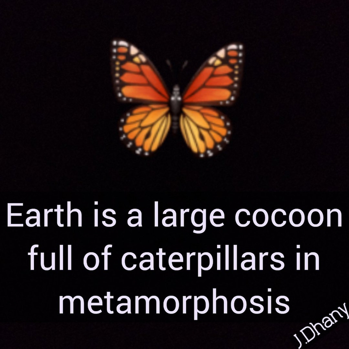 We are caterpillars in metamorphosis